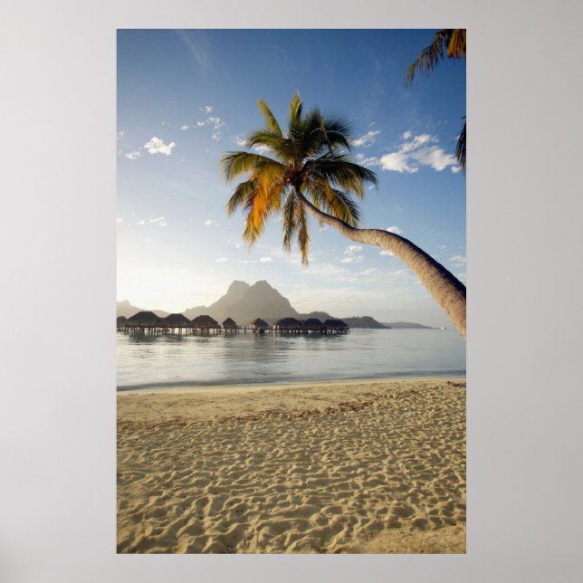 Tropiska stränder | Beach Huts, Bora Bora Poster (Framsidan)