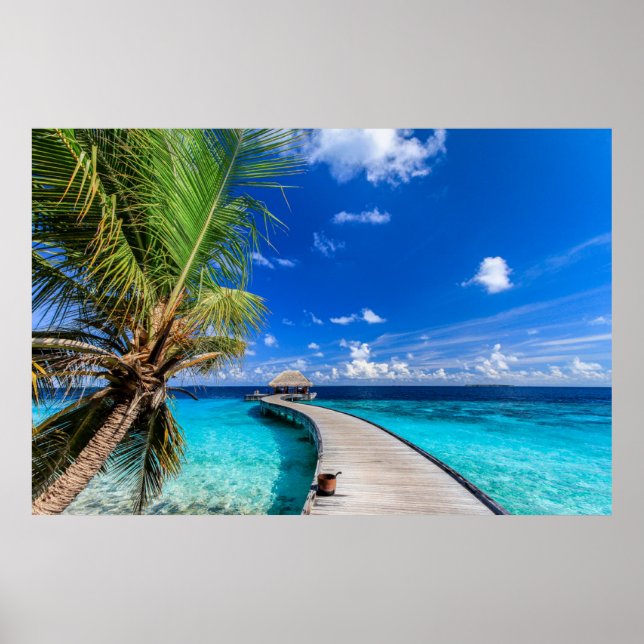 Tropiska stränder | Dusit Thani Maldives Poster (Framsidan)