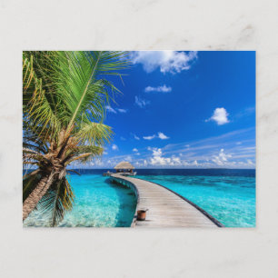 Tropiska stränder   Dusit Thani Maldives Vykort