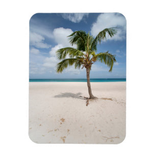 Tropiska stränder Eagle Beach, Aruba Magnet