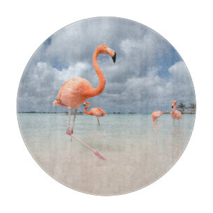 Tropiska stränder Flamingos Beach, Aruba