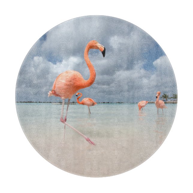 Tropiska stränder | Flamingos Beach, Aruba (Framsidan)