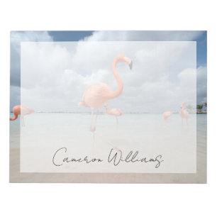 Tropiska stränder Flamingos Beach, Aruba Anteckningsblock