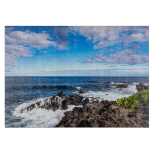 Tropiska stränder Haleakala nationalpark Maui