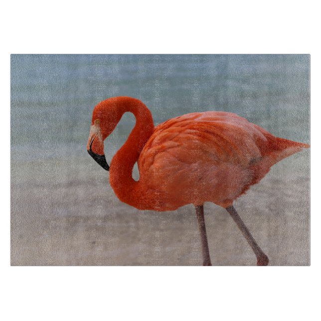 Tropiska stränder | Karibien Flamingo, Aruba (Framsidan)