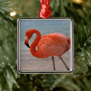 Tropiska stränder Karibien Flamingo, Aruba Julgransprydnad Metall
