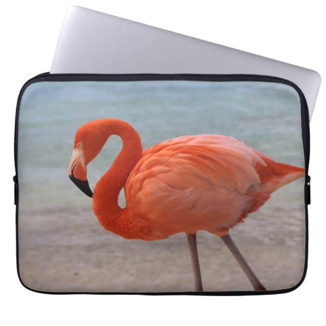 Tropiska stränder | Karibien Flamingo, Aruba Laptop Fodral (Framsidan)