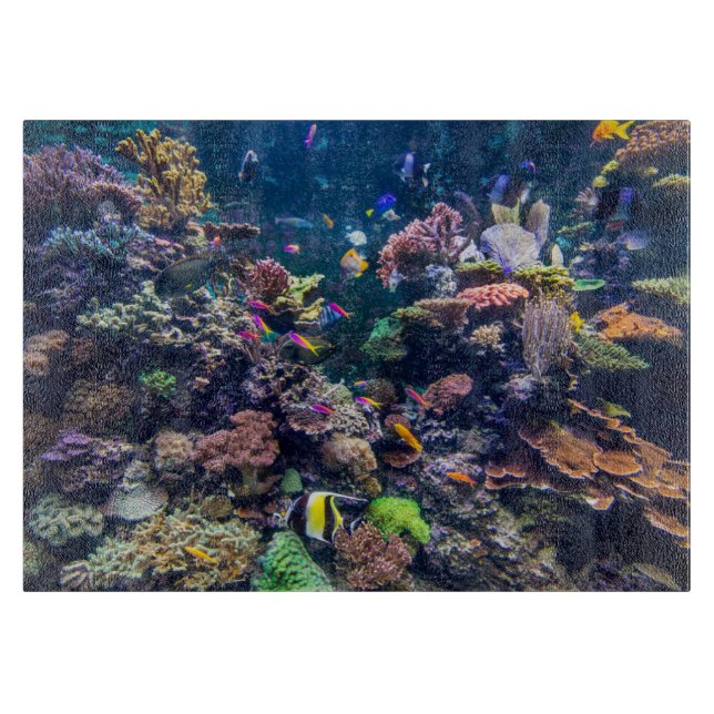 Tropiska stränder | Korallrev under vatten (Framsidan)