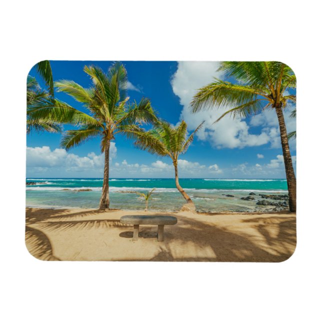 Tropiska stränder | Kuau Cove Beach, Maui Hawaii Magnet (Horisontell)