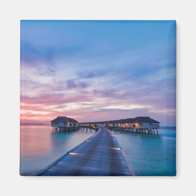 Tropiska stränder | Maldiverna Bungalows Magnet (Framsidan)