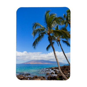 Tropiska stränder Maui Hawaii Island Magnet