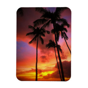 Tropiska stränder Maui Hawaii Magnet