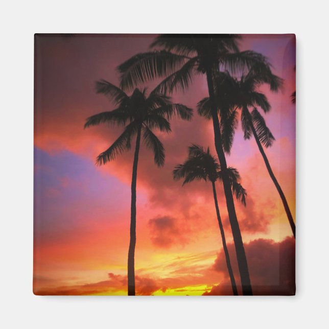 Tropiska stränder | Maui Hawaii Magnet (Framsidan)