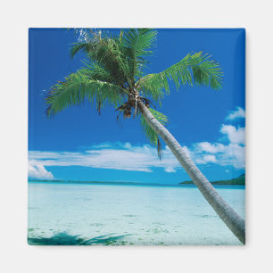 Tropiska stränder Motu Tofari Beach, Bora Bora Magnet