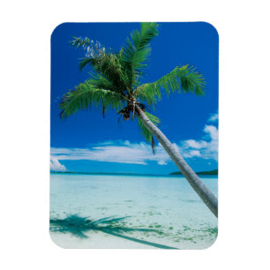 Tropiska stränder Motu Tofari Beach, Bora Bora Magnet