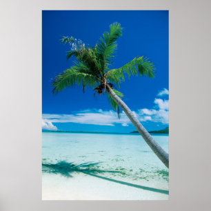 Tropiska stränder   Motu Tofari Beach, Bora Bora Poster