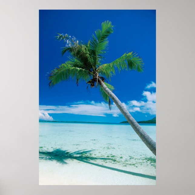 Tropiska stränder | Motu Tofari Beach, Bora Bora Poster (Framsidan)