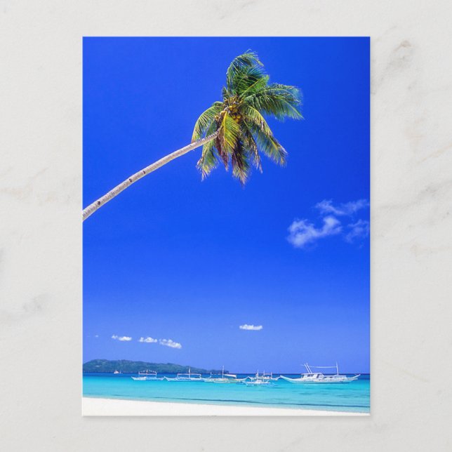Tropiska stränder | White Beach, Phillipines Vykort (Framsida)