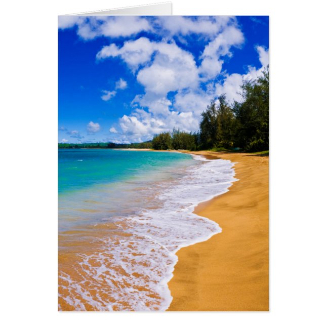 Tropiska strandparadis, Hawaii Hälsningskort (Framsidan)