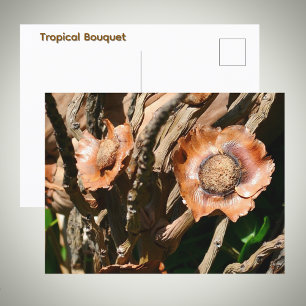 Tropiska torkade kokosblommor Blommig Vykort