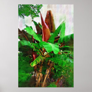 Tropiska träd-löv - Walk i Garden Poster
