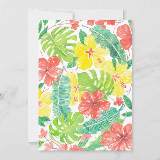 Tropiska trädgårdar, hibiscus plumeria och handfla (Framsida)