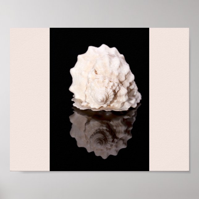 Tropiska utskrivbara konst av svart och vitt sjögr poster (Framsidan)