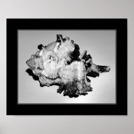 Tropiska utskrivbara konst av svart och vitt sjögr poster