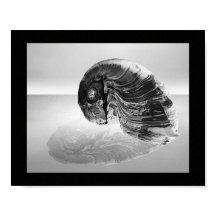 Tropiska utskrivbara konst av svart och vitt sjögr