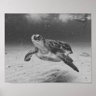 Tropiska utskrivbara konst i Svarta havet Poster
