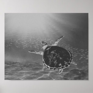Tropiska utskrivbara konst i Svarta havet Poster