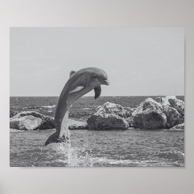 Tropiska utskrivbara svarta och vita delfiner poster (Framsidan)