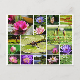 Tropiska vatten lilies fotokollage naturblomma vykort