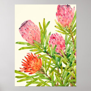 Tropiska vattenfärgsblommor poster