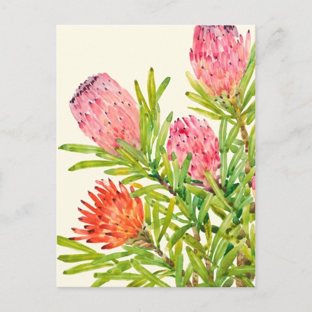 Tropiska vattenfärgsblommor vykort (Framsida)