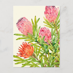 Tropiska vattenfärgsblommor vykort