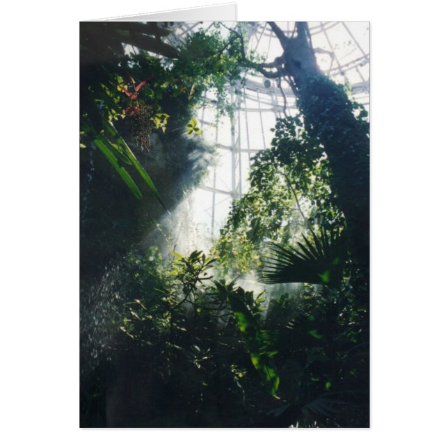 Tropiska växter OBS kort (Framsidan)