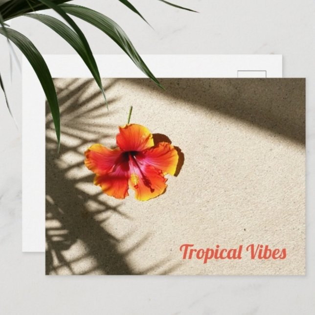 Tropiska Vibes Hibiscus Vykort (Skapare uppladdad)