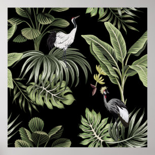 Tropiska vintagens nattkranfågel, handflatan träd, poster