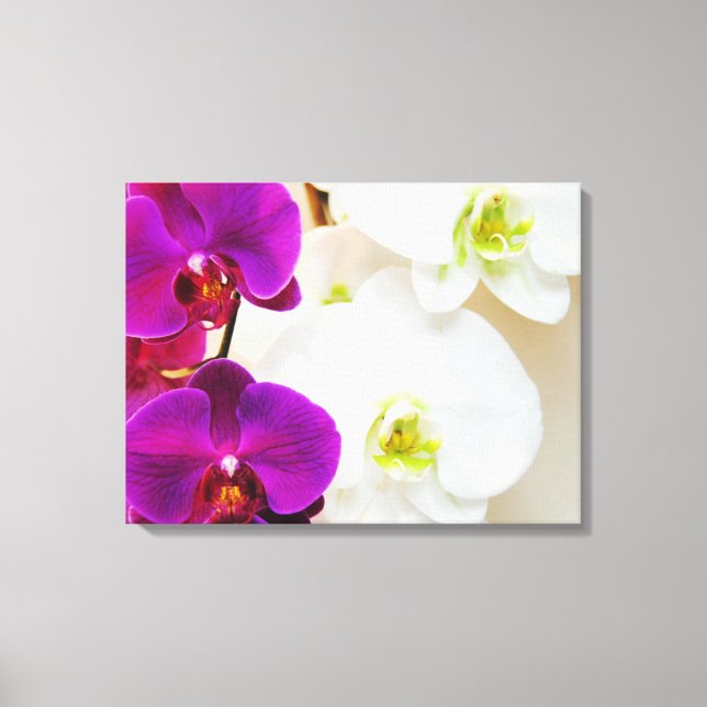 Tropiska vita Orchids nummer tre Canvastryck (Framsida)