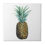 Tropiskt ananas vattenfärg kakelplatta<br><div class="desc">Tropiskt ananas vattenfärg. Konstnär: Grace Popp. Bild-ID: 105687D.</div>