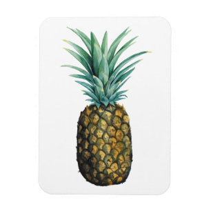 Tropiskt ananas vattenfärg magnet