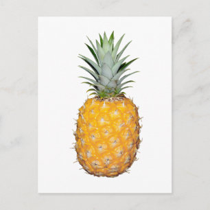 Tropiskt ananas vykort