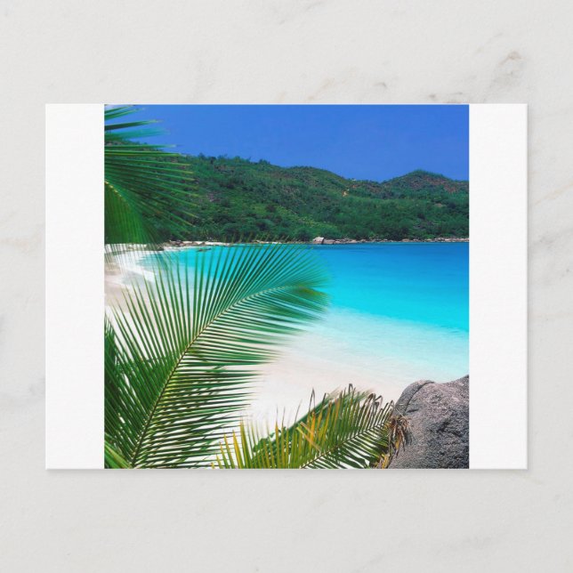 Tropiskt återreat seychellisk persikor vykort (Framsida)