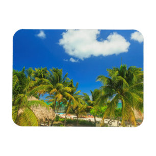 Tropiskt badort, Belize Magnet
