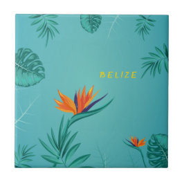 Tropiskt blått Grönt Handflatan Monogram Belize Kakelplatta