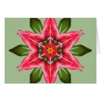 Tropiskt blomma hälsningskort