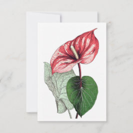 Tropiskt blomningsblankprov av anurum tack kort