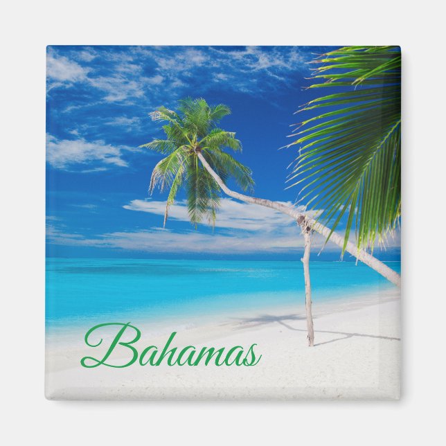 Tropiskt Blue Exotic Bahamas Beach Handflatan Magnet (Framsidan)