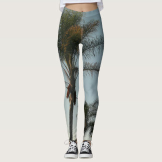 tropiskt datum handflatan träd mot azure himlar leggings